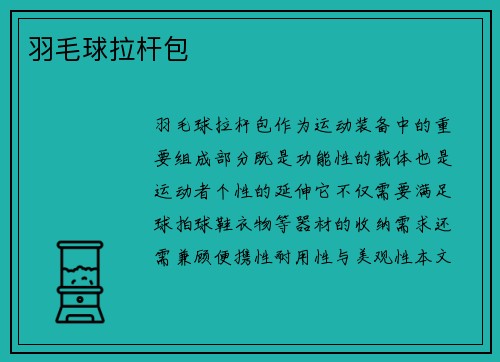 羽毛球拉杆包